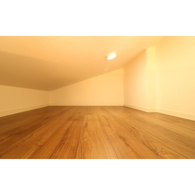 クレアール町屋301号室 ロフト部分