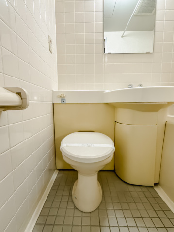 インペリアル南麻布サテライト503号室 トイレ