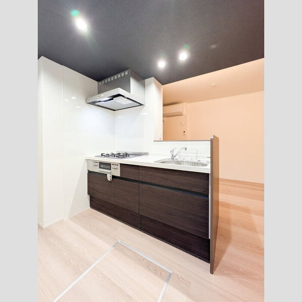 エスペリア相模が丘5丁目101号室 キッチン