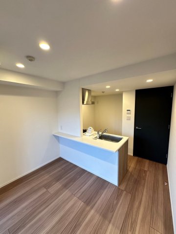 SYFORME KANNAIⅡ811号室 ※過去退去時のお写真です