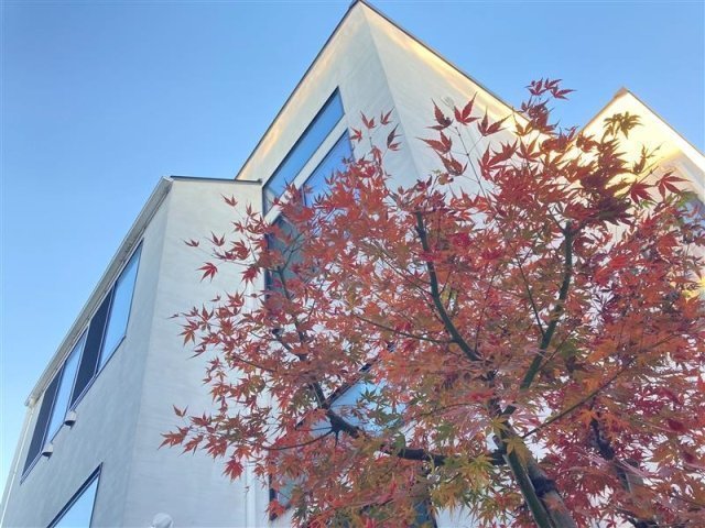 WATEI久我山2階 外観