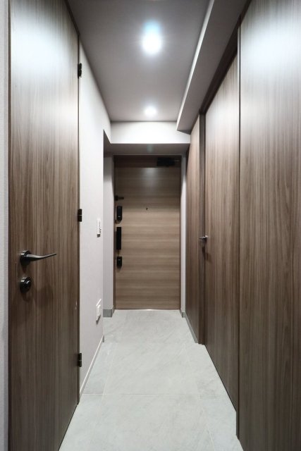 ピアース銀座レジデンス9階 玄関