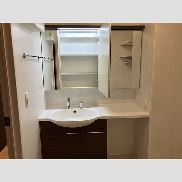 MKハイム103号室 洗髪洗面化粧台