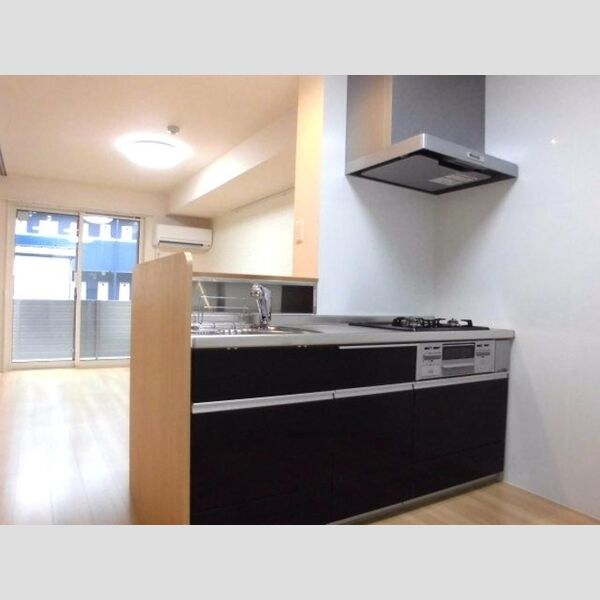 レフィナード末広102号室 対面システムキッチン