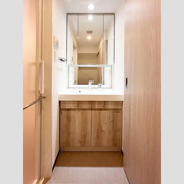 S-RESIDENCE浅草clarity902号室 洗面