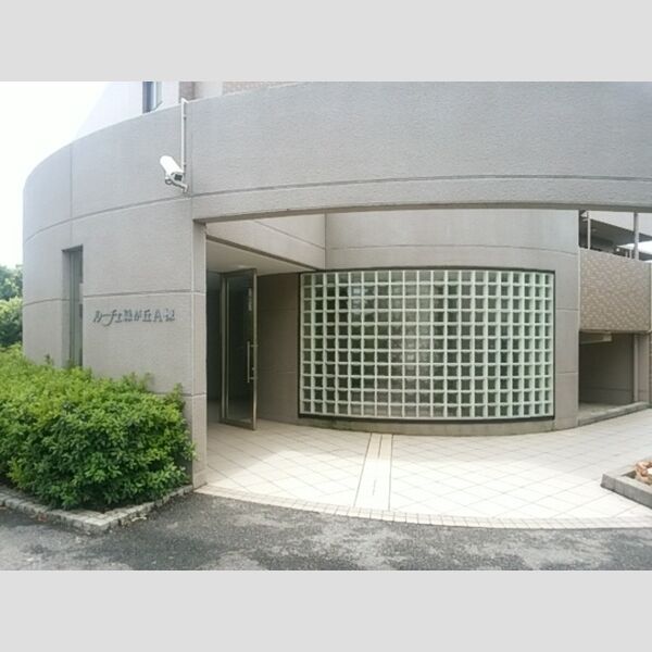 ルーチェ緑が丘A216号室 防犯カメラ(事故、事件の補償は出来かねます)