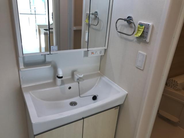 Ｂrowny Ｇreen　(ブラウニーグリーン)203号室 洗面