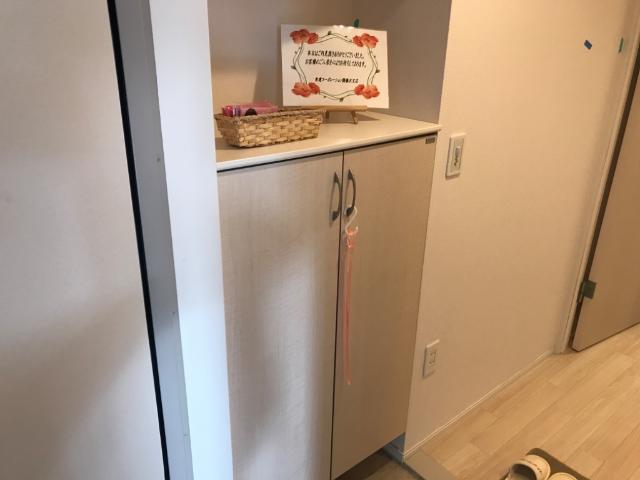 グレイスヴィラ湘南 シューズボックス