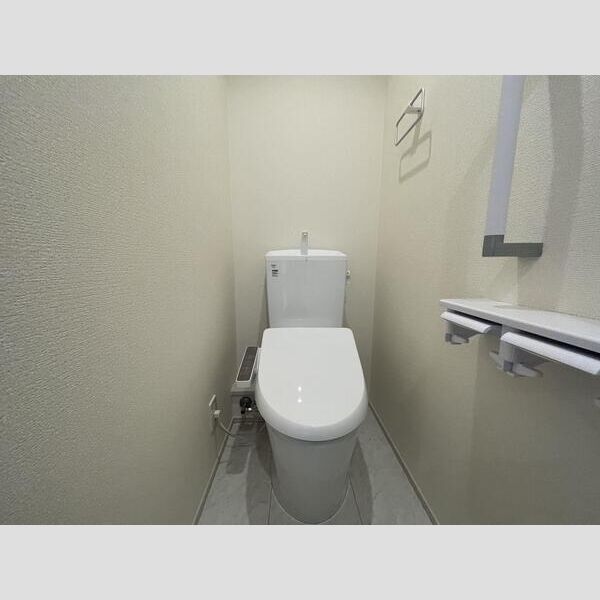 リーブルファイン武蔵村山大南203号室 トイレ