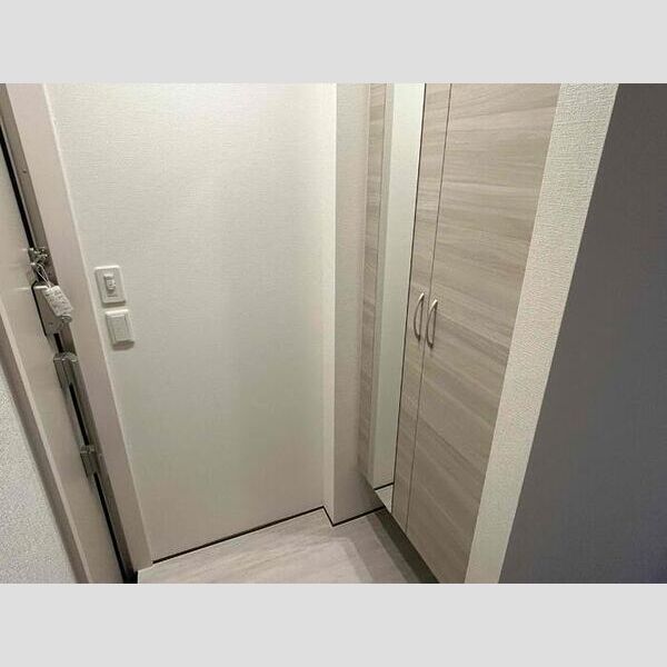 D-ROOM椿森1丁目A 玄関