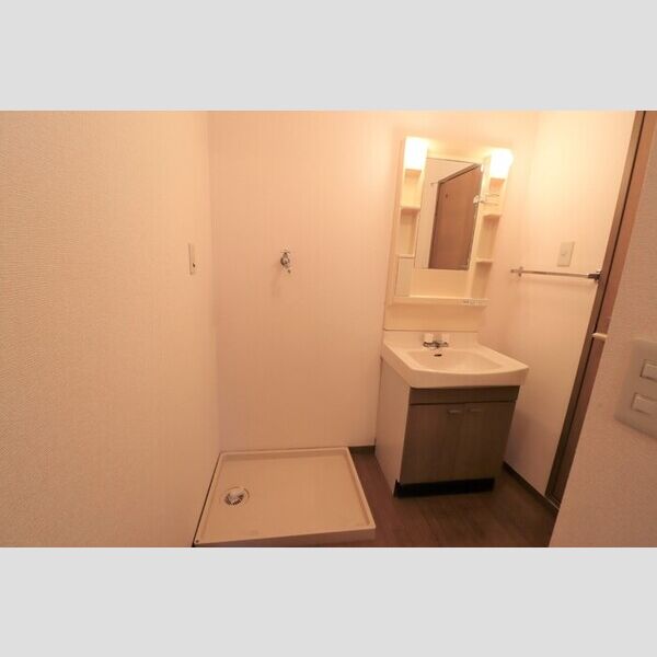 グランカーサ201号室 洗面所