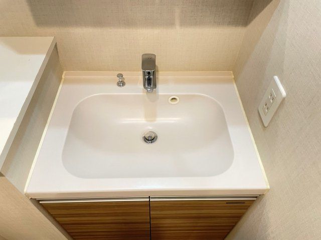 DIPS上板橋211号室 洗面