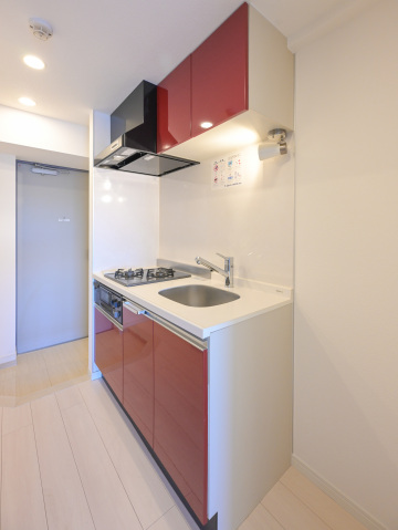 スカイコートパレス西巣鴨Ⅱ702号室 同タイプ参考写真