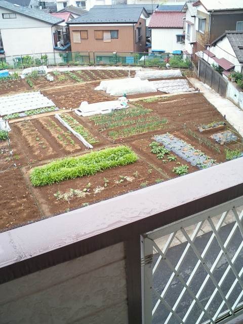 コーポラス稲垣Ｃ2階 反転タイプ別号室写真