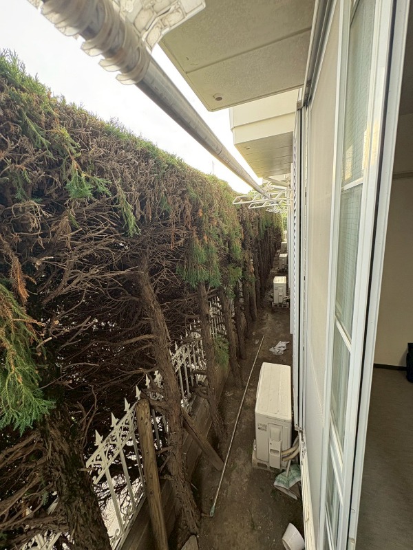 ヴィラネル田園調布 バルコニー