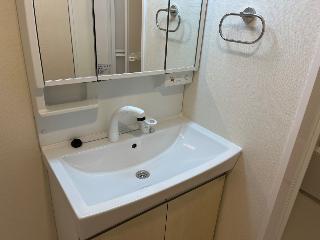 ＺＥＮ（ゼン）103号室 洗髪洗面化粧台（イメージ）