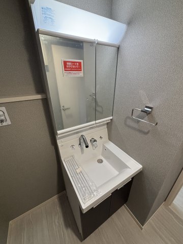 Ｓｏｌｅｉｌ　ＹＳ202号室 洗面