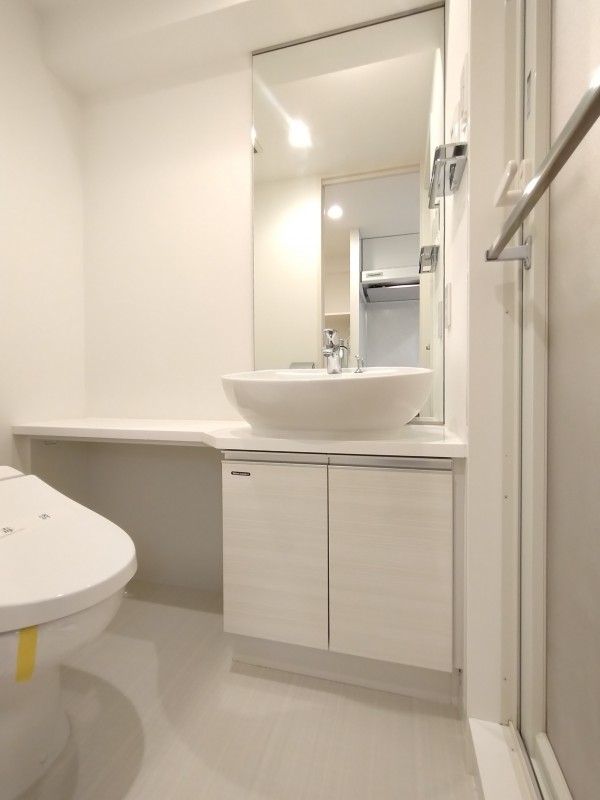 クレイシア巣鴨駅前 洗面