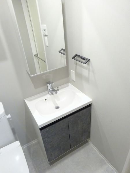 アイルイムーブル亀戸204号室 洗面