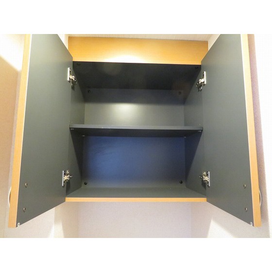 ヴィレッジ・イン・上高井戸0202号室 上部収納