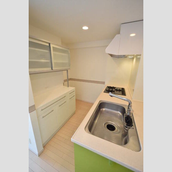 ロイヤルパークス西新井1023号室 キッチン