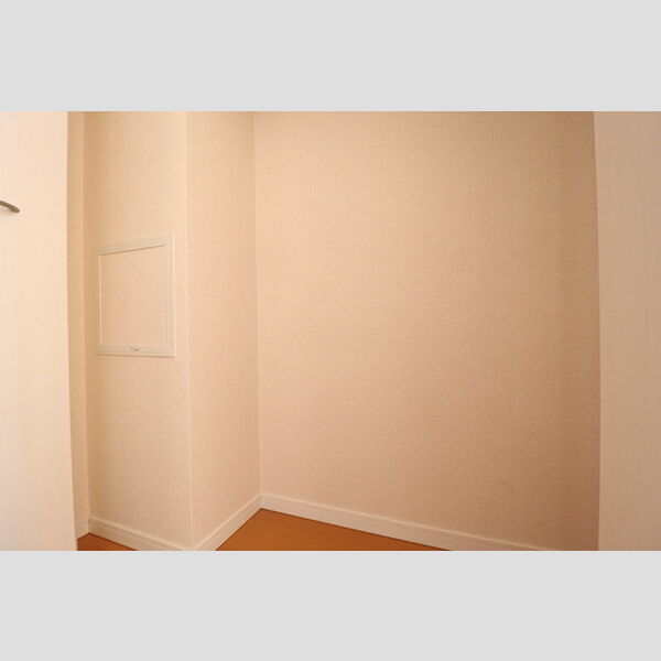 カーサ フェリーチェ 柴又106号室 クローゼット