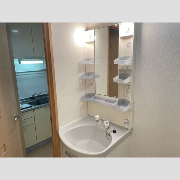 スプリング・K203号室 洗面所　洗髪洗面化粧台