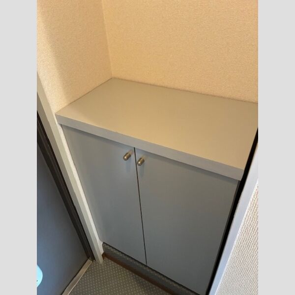 ハイムカメリア305号室 玄関