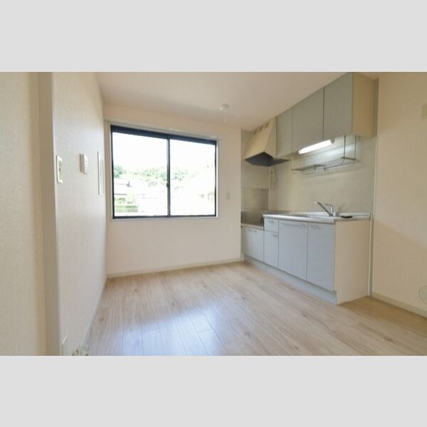 パレス雅　A DK6帖