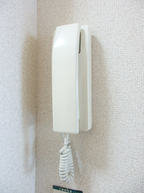 ドミール西三条0306号室 セキュリティ