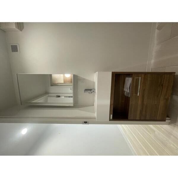 VISTA　MAGOME103号室 洗面