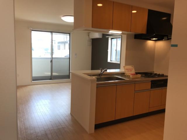 ビスタ湘南201号室 リビング