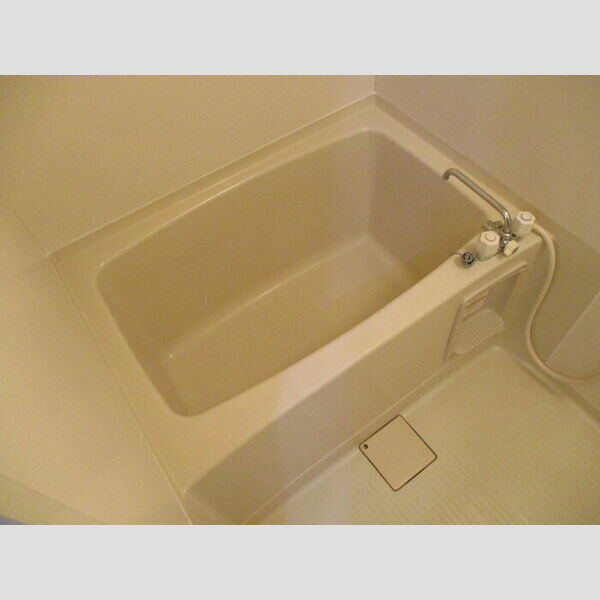 メゾン・セス202号室 浴室