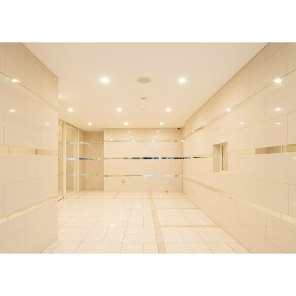 スプランディッド江東住吉501号室 部屋その他