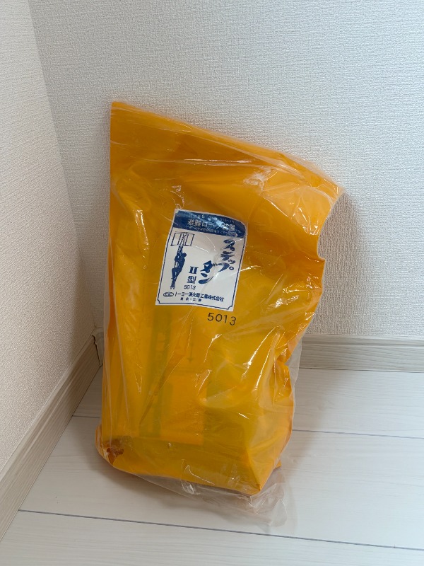 サザンロード南阿佐ヶ谷2階 部屋その他