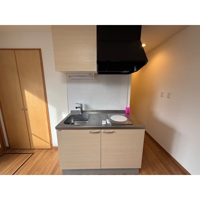 リブレス新河岸Ⅴ　旧新河岸元寮101号室 キッチン