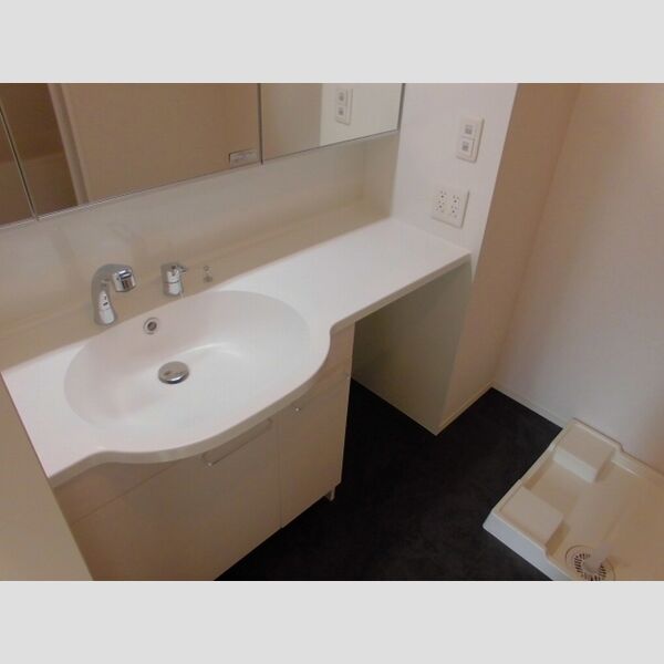 プライム メゾン201号室 洗面