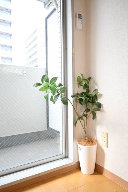 シルフィード板橋本町5階 ※家具家電小物はイメージ