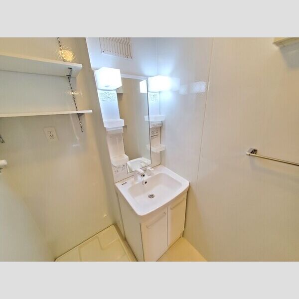 ルシエール氷川301号室 洗面