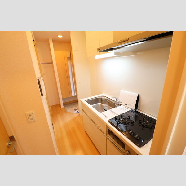 ライズ生田 キッチン