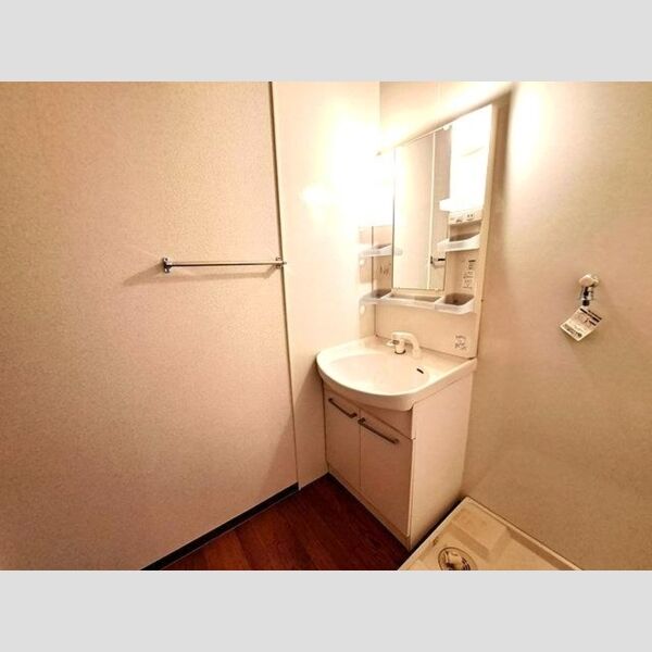 フリーデン・ハイム 洗髪洗面化粧台