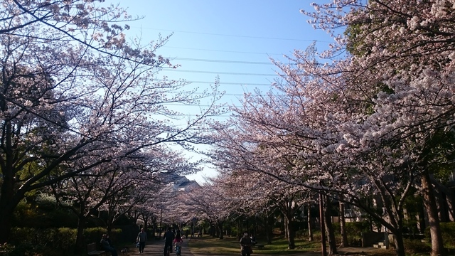 未貴ハイムＣ棟C202号室 おゆみ野さくら公園