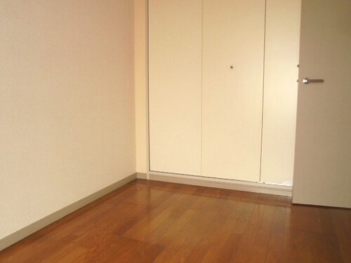 テレパレス船橋三咲Ａ棟2階 収納（洋室）※同タイプ別部屋2025.12撮影