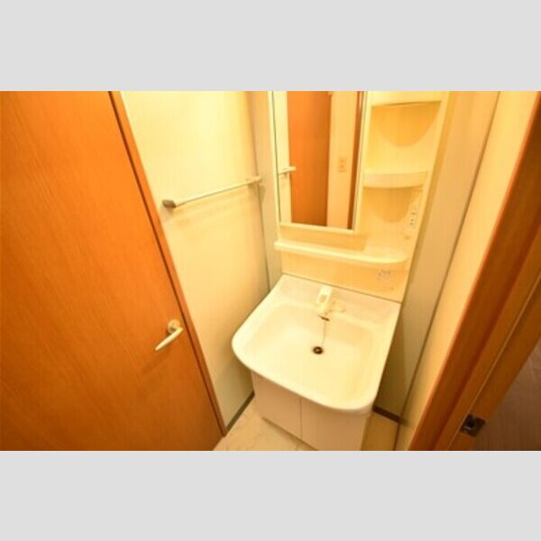 さがみ野セントラルビル　Ⅱ306号室 洗面所