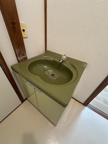 コーポ西湘202号室 洗面
