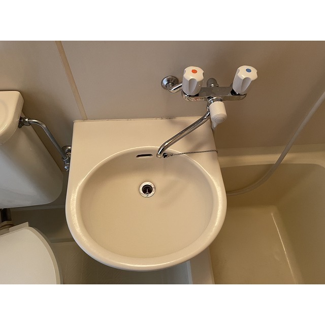 ホンマチドリームユーハイム 洗面ボール