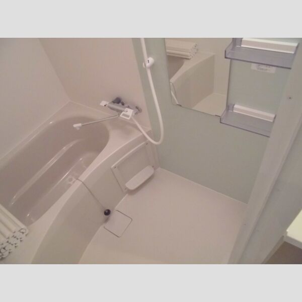 PLUM　VILLAGE106号室 浴室