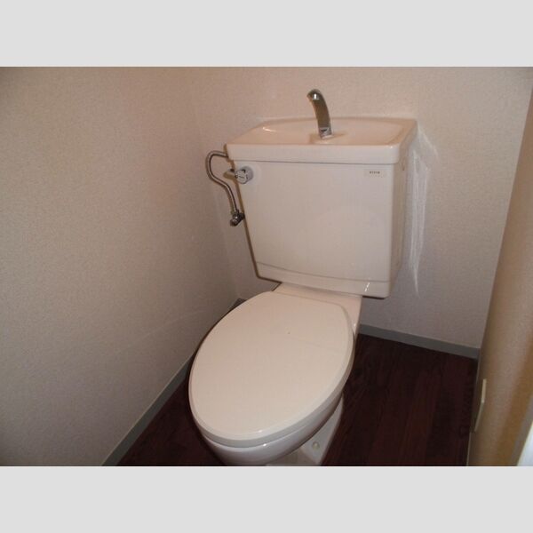 グランドヒルズ301号室 トイレ