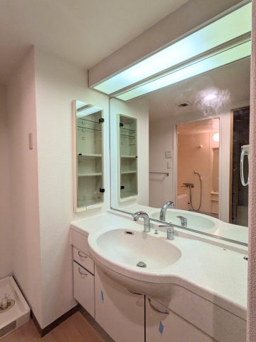 アソシエール溝の口1303号室 洗面