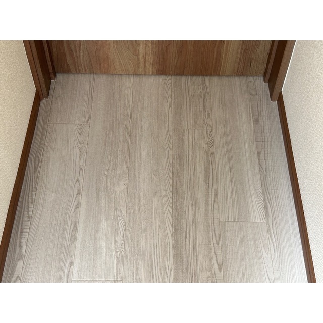 スターコートⅡ201号室 玄関